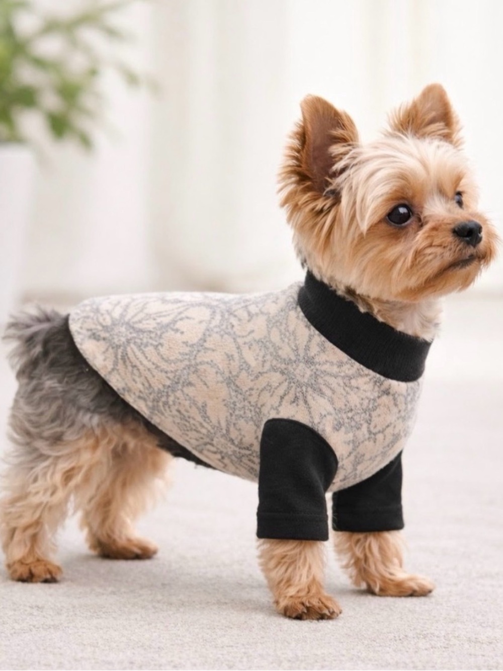 Handmade Upcycled Dog Sweater | Small Dog | One of a Kind | Sustainable Petwear